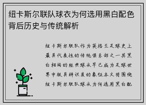 纽卡斯尔联队球衣为何选用黑白配色背后历史与传统解析
