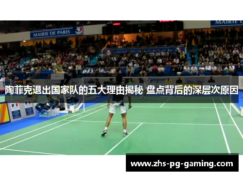 陶菲克退出国家队的五大理由揭秘 盘点背后的深层次原因